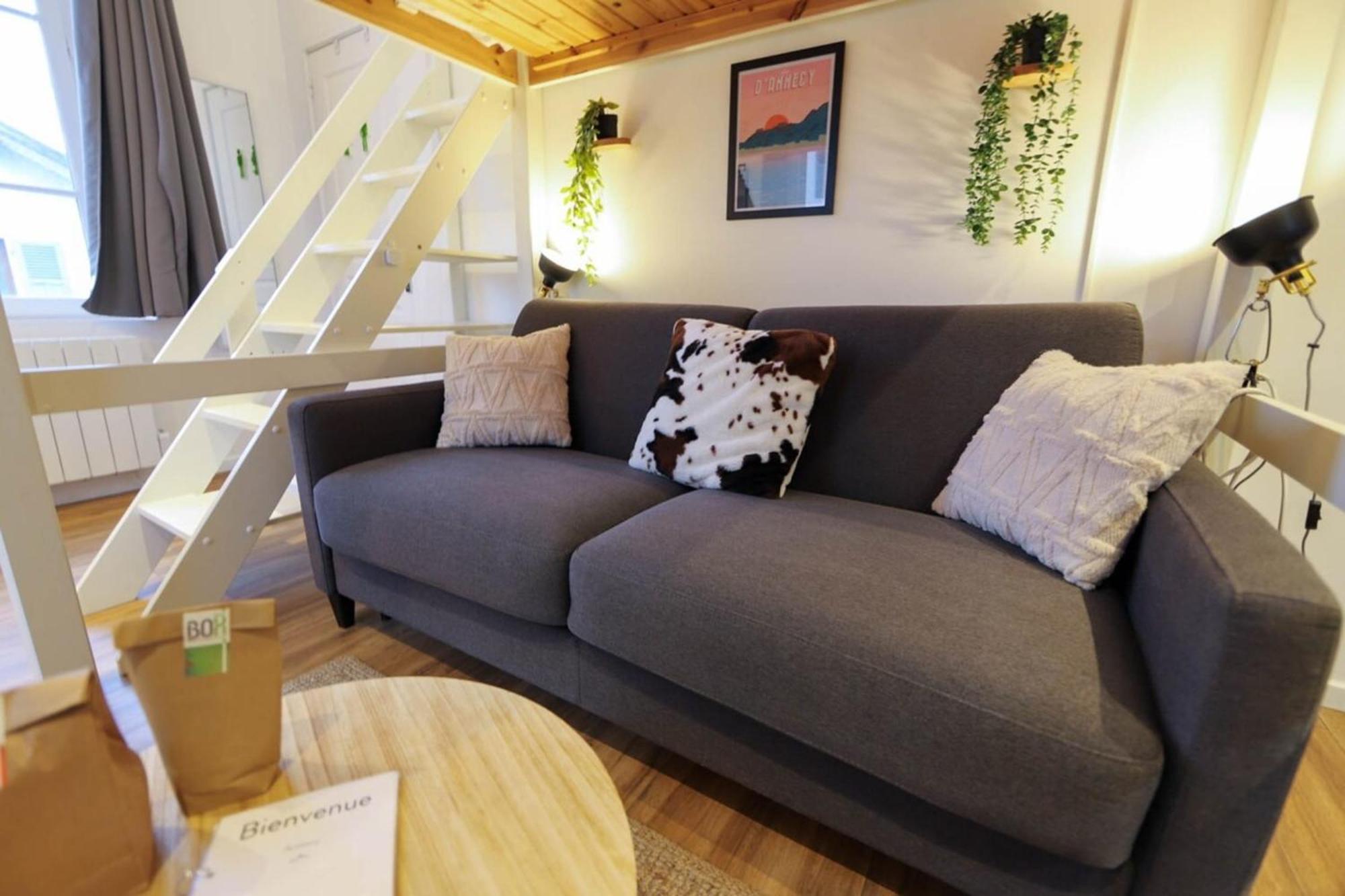 Le Petit Plus - Studio Confortable Avec Parking Διαμέρισμα Άννεσι Εξωτερικό φωτογραφία