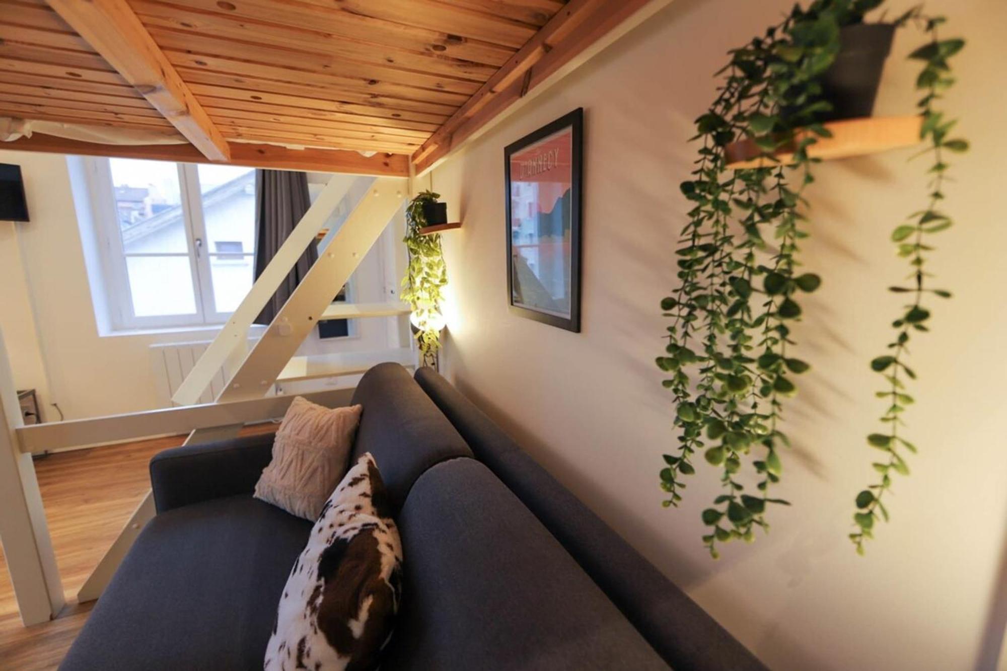 Le Petit Plus - Studio Confortable Avec Parking Διαμέρισμα Άννεσι Εξωτερικό φωτογραφία