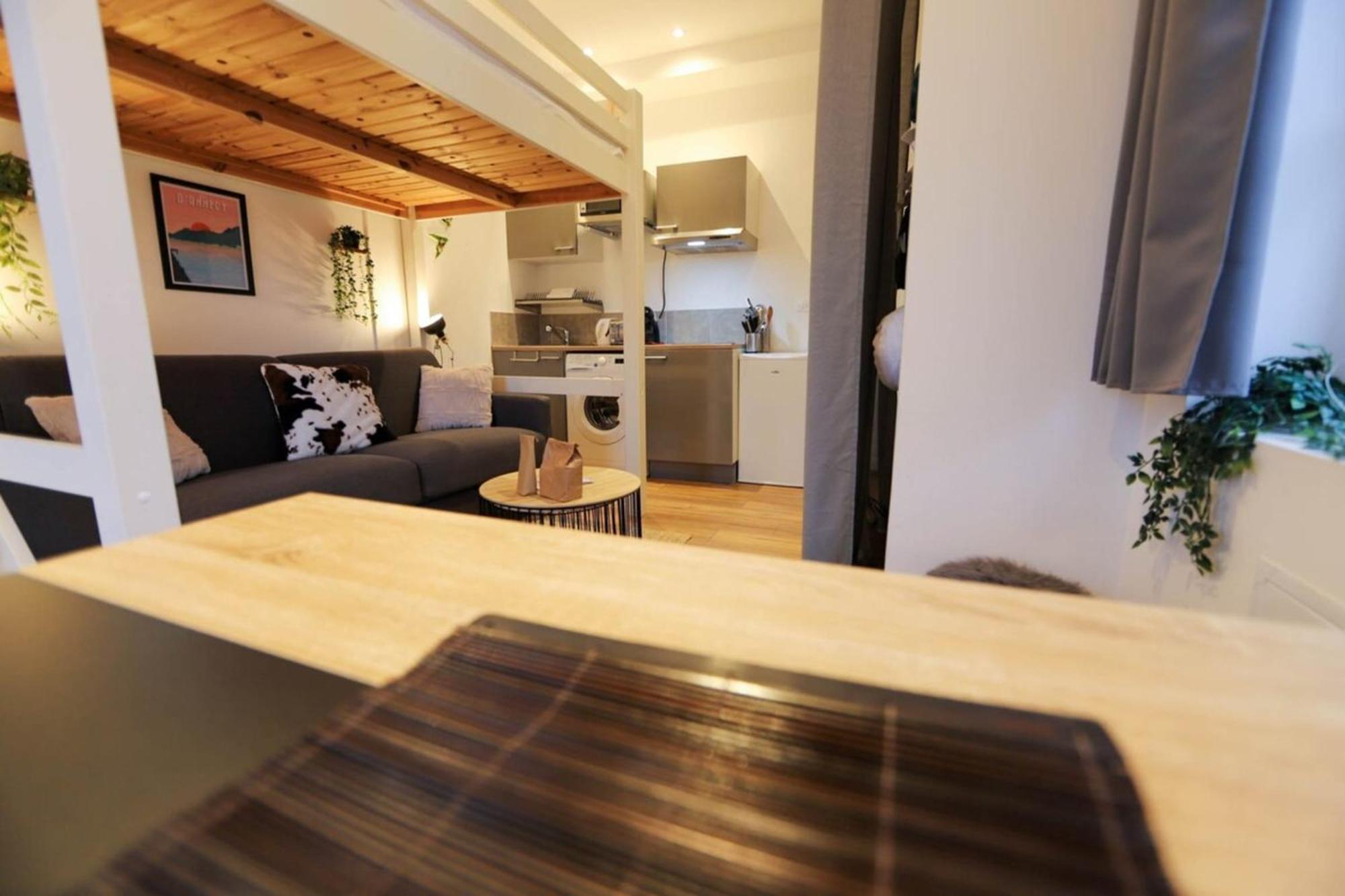 Le Petit Plus - Studio Confortable Avec Parking Διαμέρισμα Άννεσι Εξωτερικό φωτογραφία